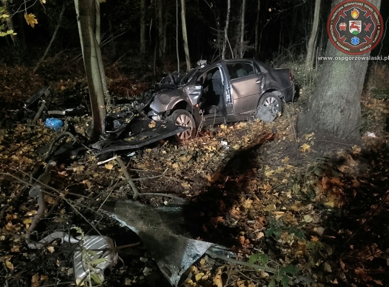 Na trasie Gorzów Śląski-Skrońsko kierujący uderzył w drzewo