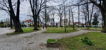 Park przy urzędzie w Oleśnie zostanie odnowiony