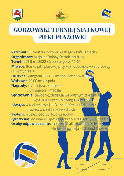 volleyball_poster