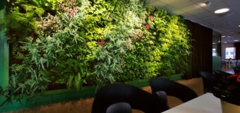 Biuro z zielonym sercem: Zalety i rodzaje ogrodów wertykalnych w przestrzeni pracy