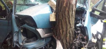 Niebezpieczny wypadek w Klekotnej. Samochód uderzył w drzewo