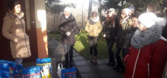 Uczniowie oleskiej “Jedynki” przekazali 200 kilogramów karmy dla bezdomnych zwierząt