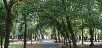 Duży park w Oleśnie zostanie kompletnie przebudowany