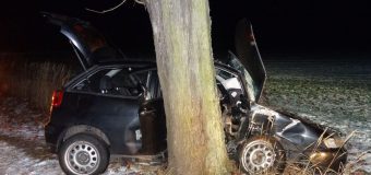 Samochód uderzył w drzewo na trasie Knieja-Zębowice